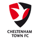 切尔滕汉姆 logo